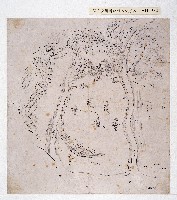 藏品(岸裡大社形勢圖)的圖片